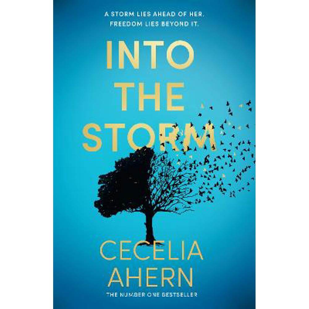 Into the Storm (Hardback) - Cecelia Ahern